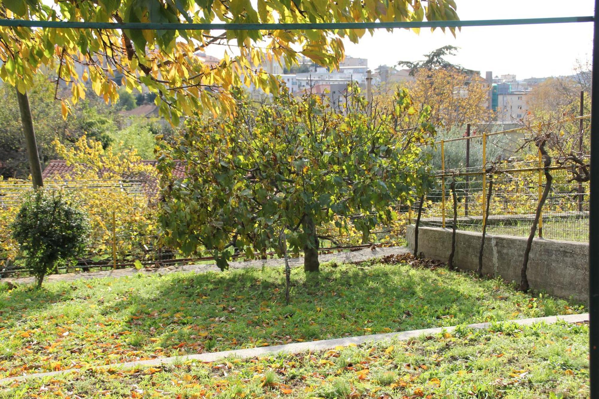 Vila Il Gelsomino Terst Exteriér fotografie